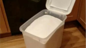 50 pound sugar container